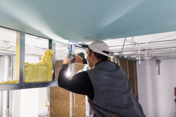 Best Geographic-Specific Insulation Services in Stateburg, SC