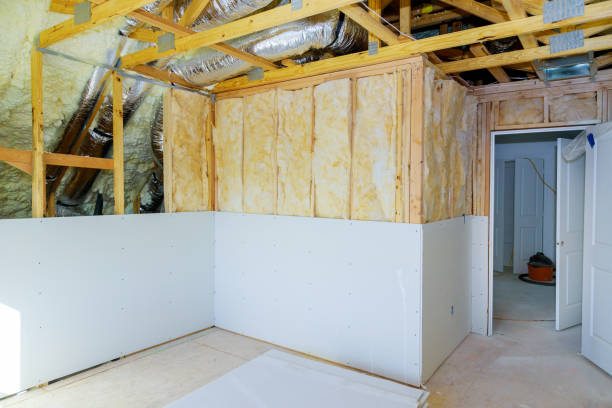 Best Cellulose Insulation in Stateburg, SC