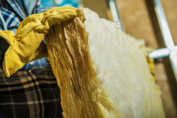 Types of Insulation We Offer in Stateburg, SC