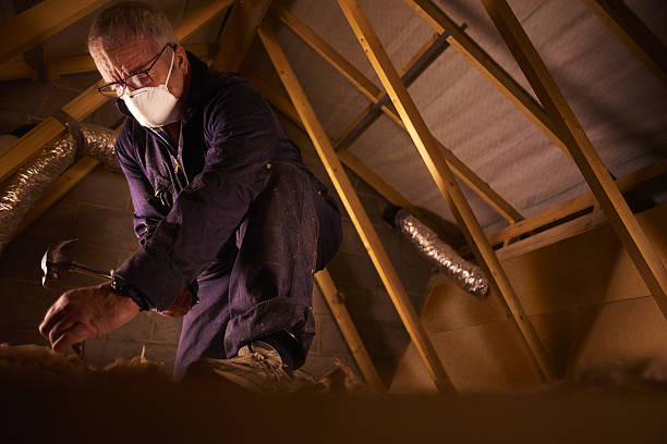 Best Specialized Insulation Services in Stateburg, SC